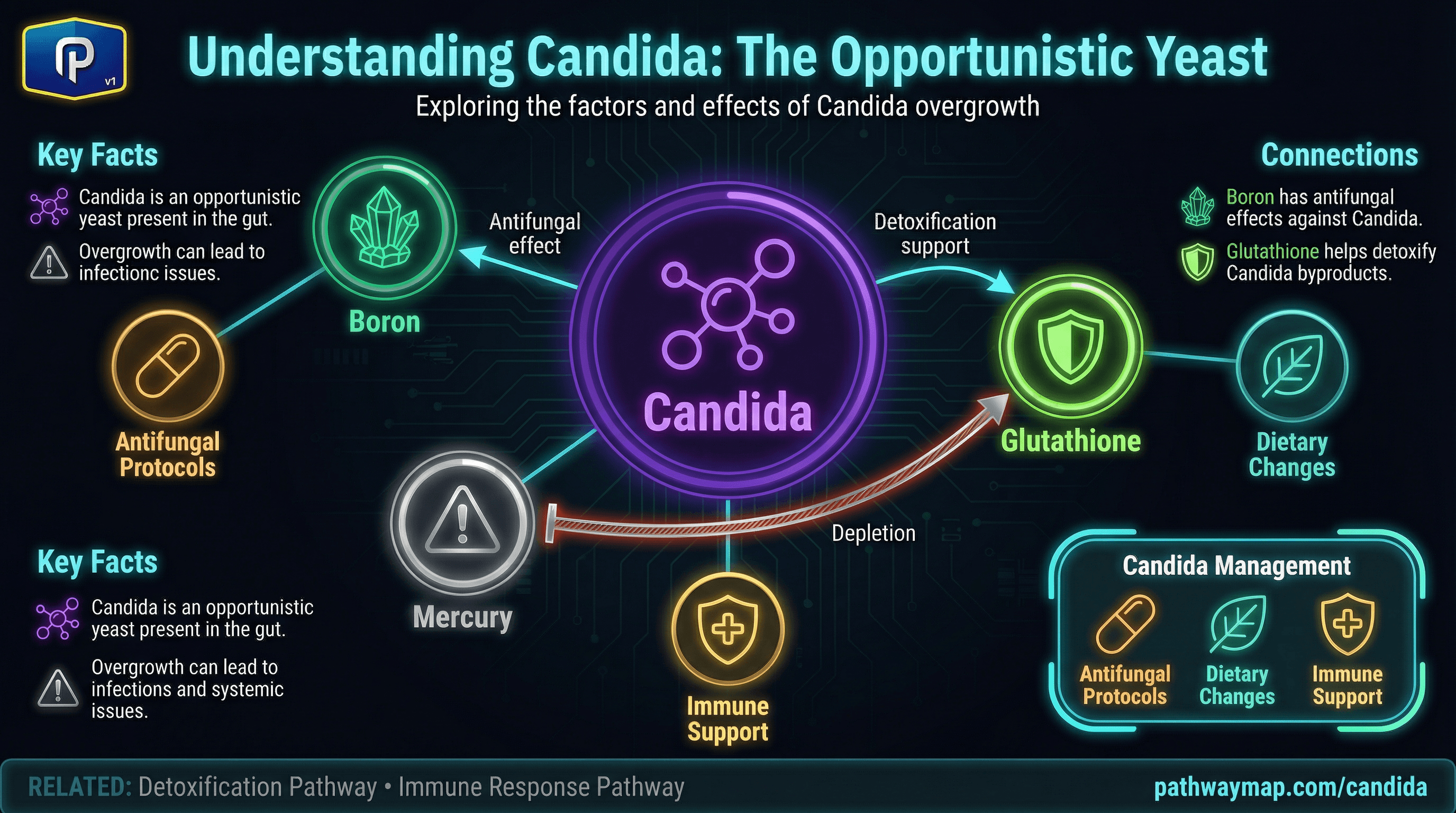 Candida overgrowth and balance
