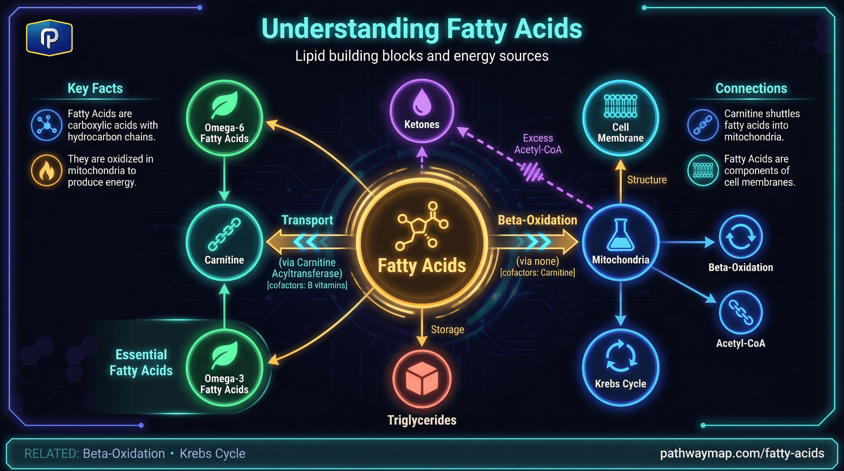 Fatty Acids