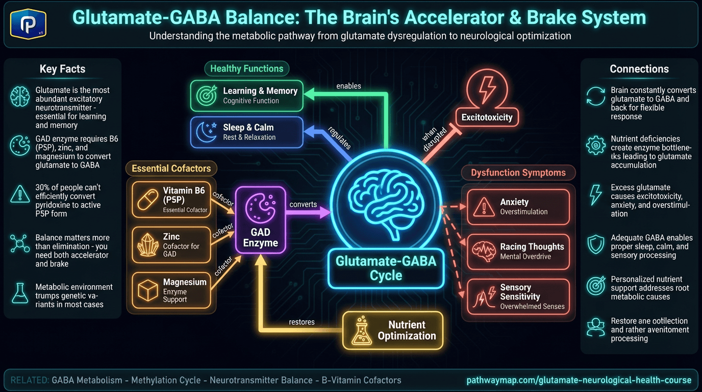 Glutamate & Neurological Health: A Complete Course pathway diagram