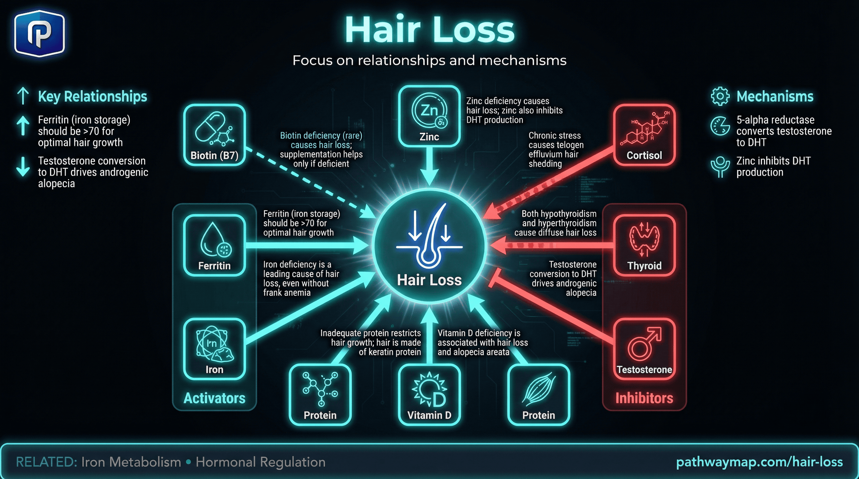 Hair loss causes
