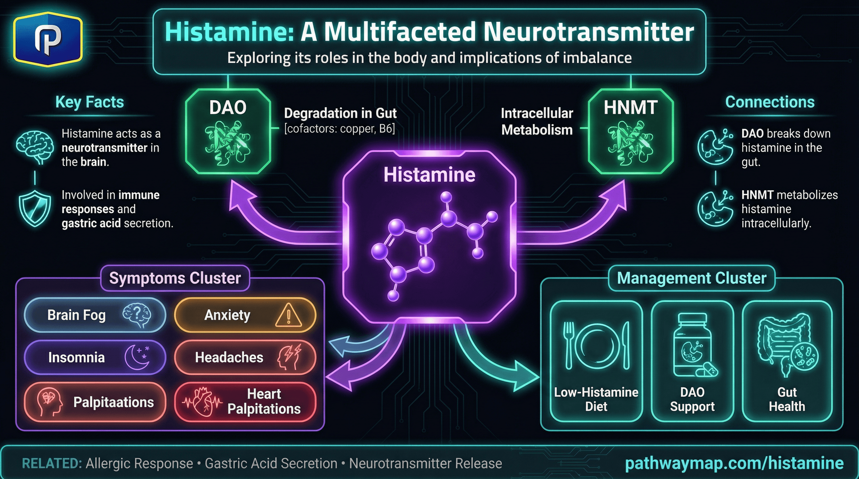 Histamine pathway diagram