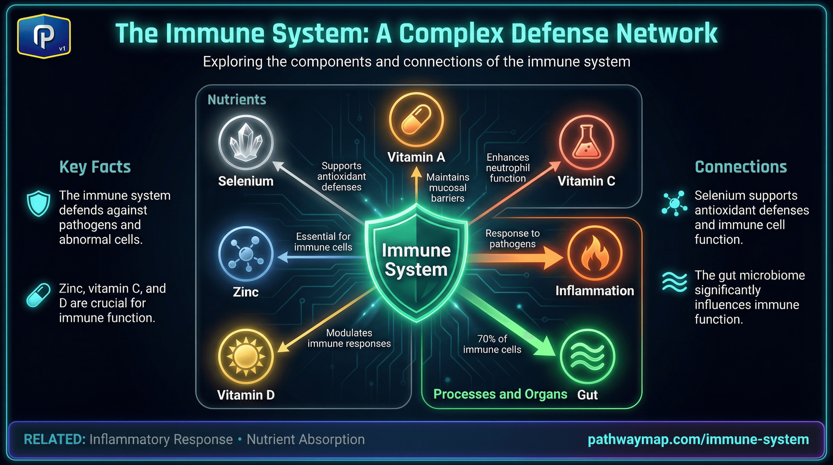 Immune system components