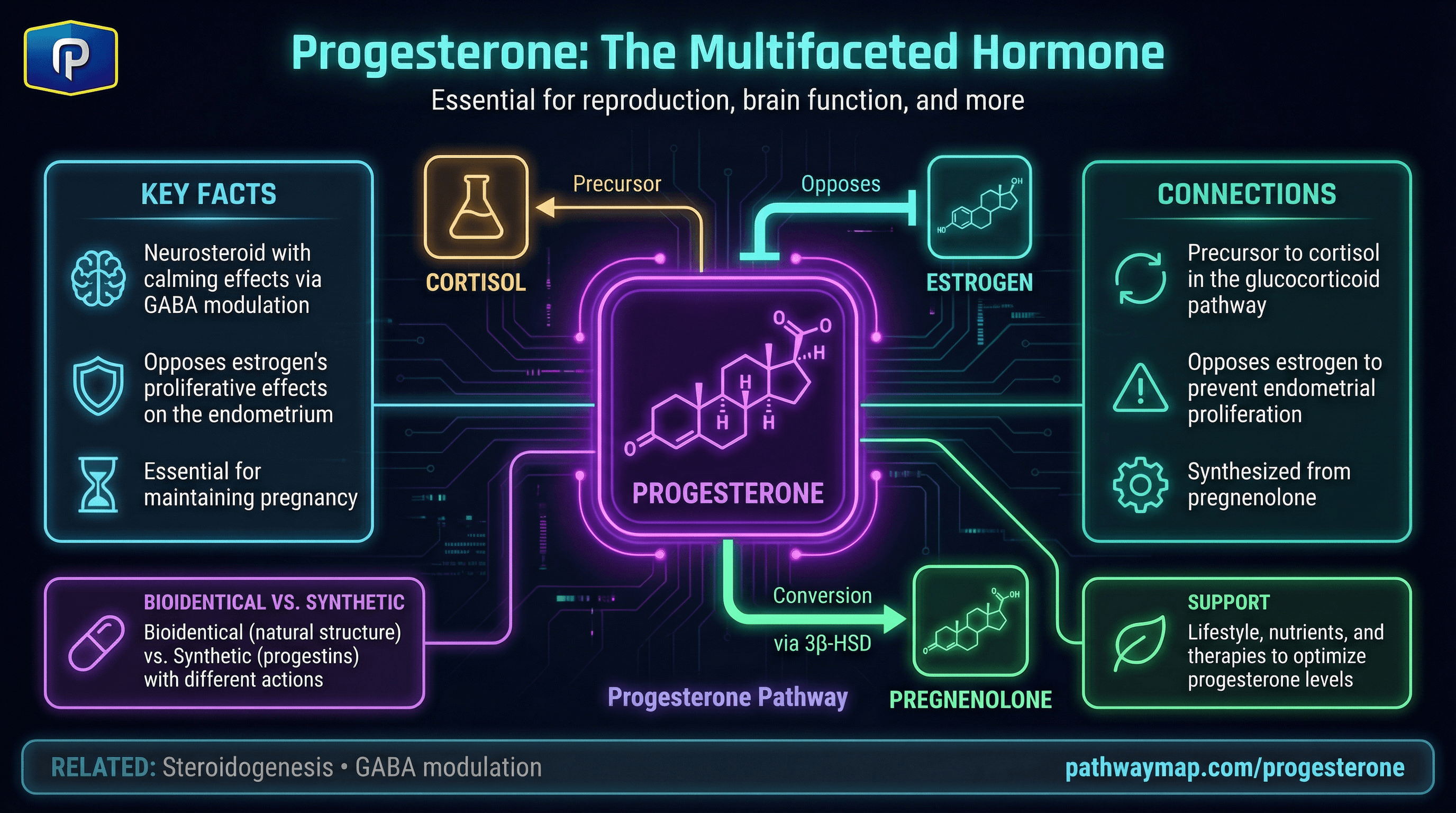 Progesterone synthesis and functions