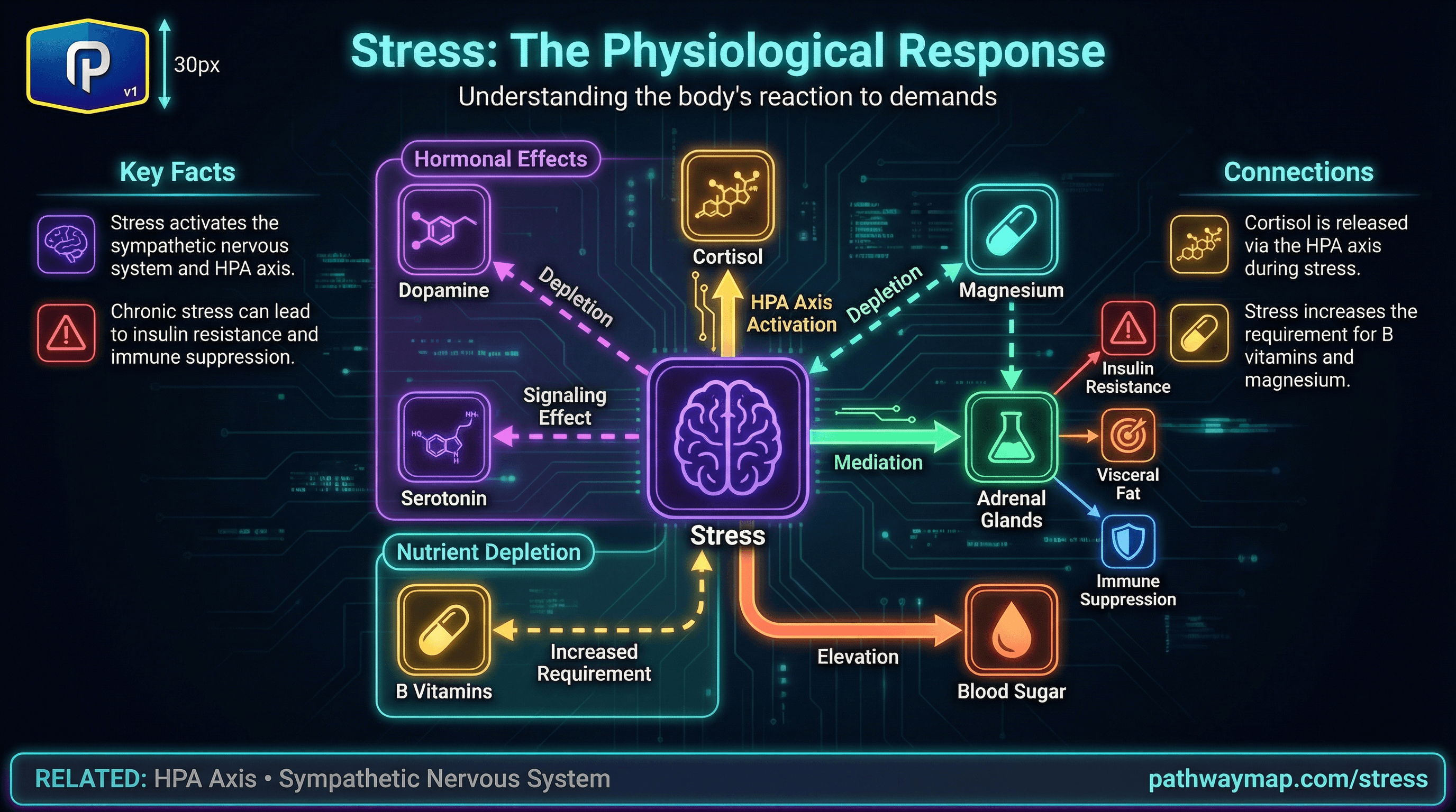 Stress response and effects