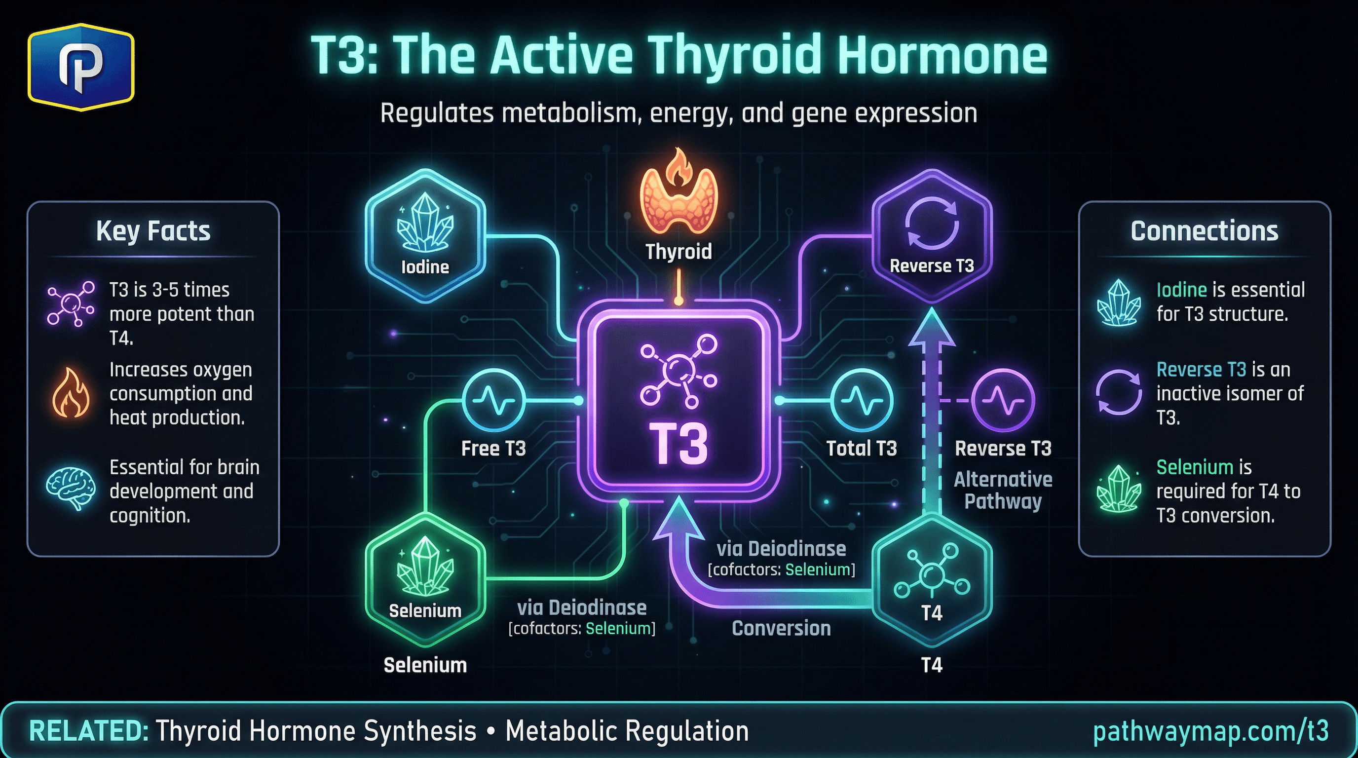T3