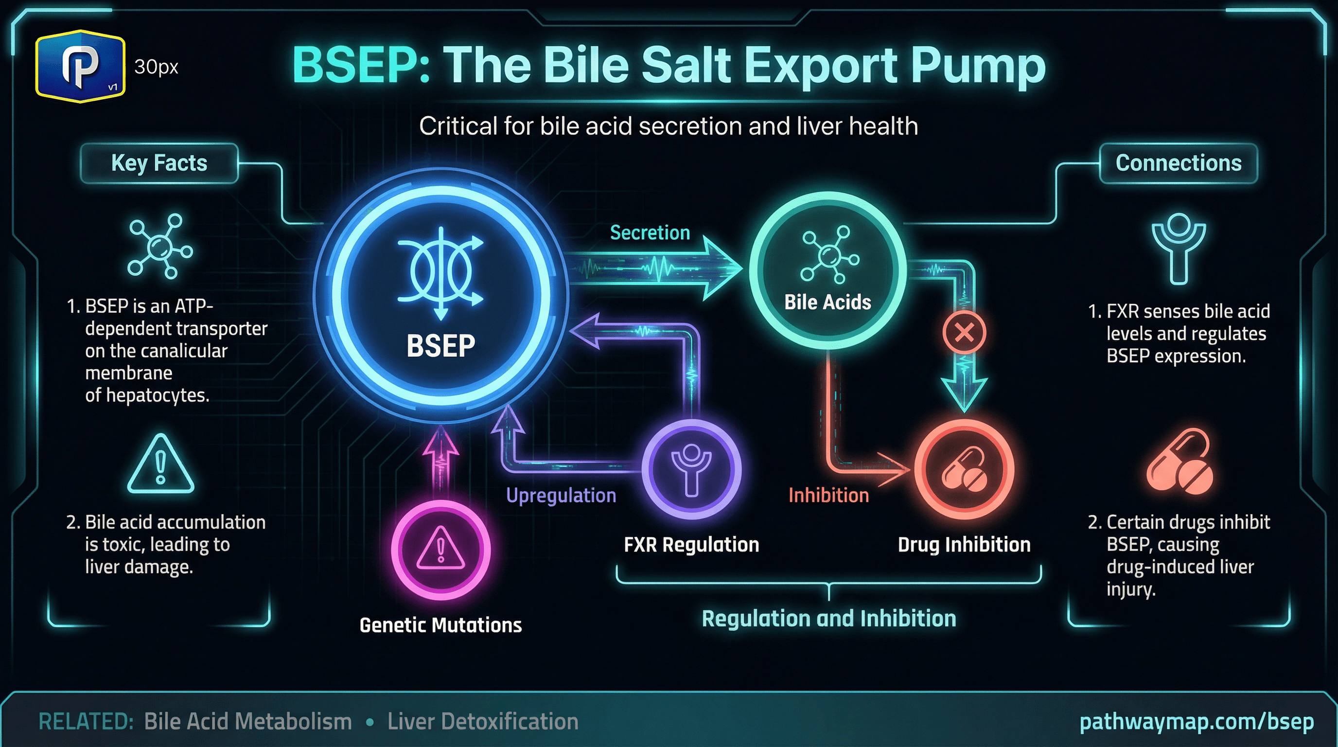 Bsep Form BSEP - Pathway Map